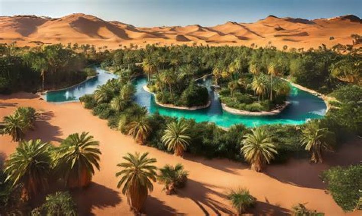 An Oasis Of Beauty, Nature, And Recreation