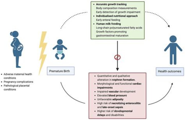 Birth, Impact, And Enduring Influence