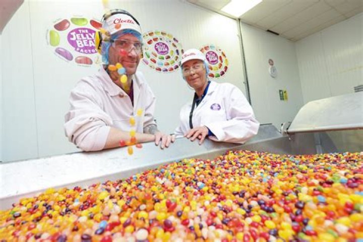 Discoveries And Insights Of The "Jelly Bean Brain"