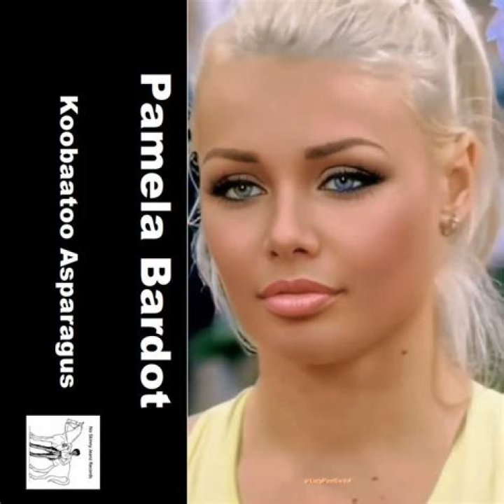 Discoveries From "pamela Bardot Wikipedia"