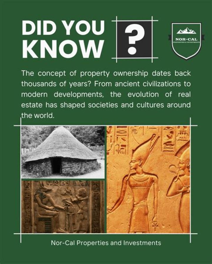 Intriguing Facts And Surprising Insights