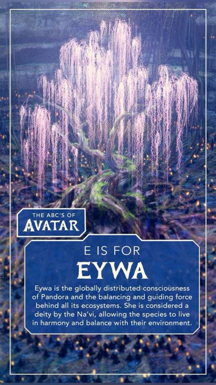 Meet Her Partner And Guiding Force