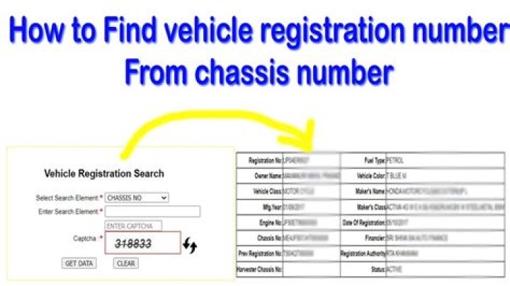 Retrieve Your Registration Number Today!
