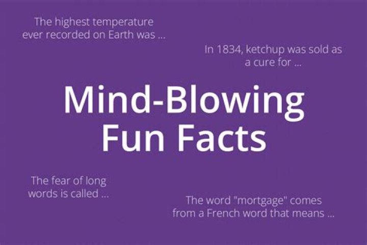 Surprising Facts And Body Image Truths