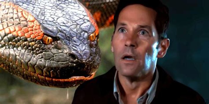 Uncover The Secrets Of Paul Rudd's Height: A Journey Of Discovery