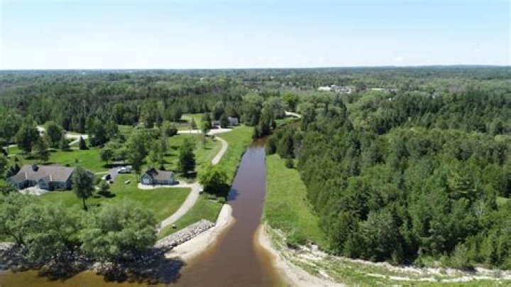Unraveling The Tragic "Forrest Sweet Cheboygan Michigan Accident": Discoveries And Insights