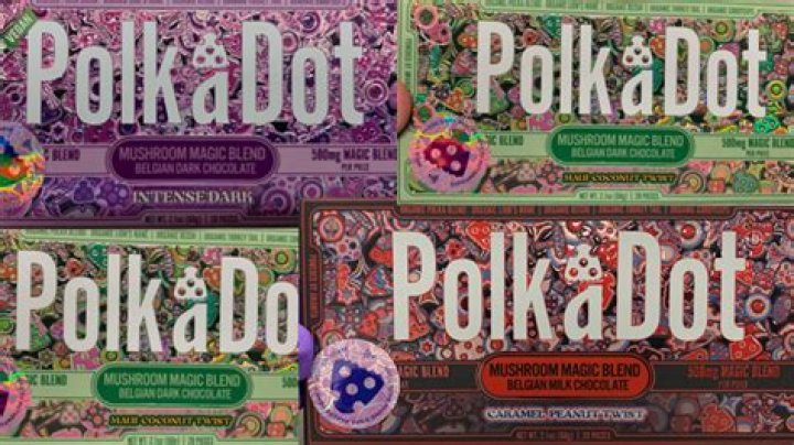 Unveiling The Deceptive World Of Fake Polkadot: Discoveries And Insights